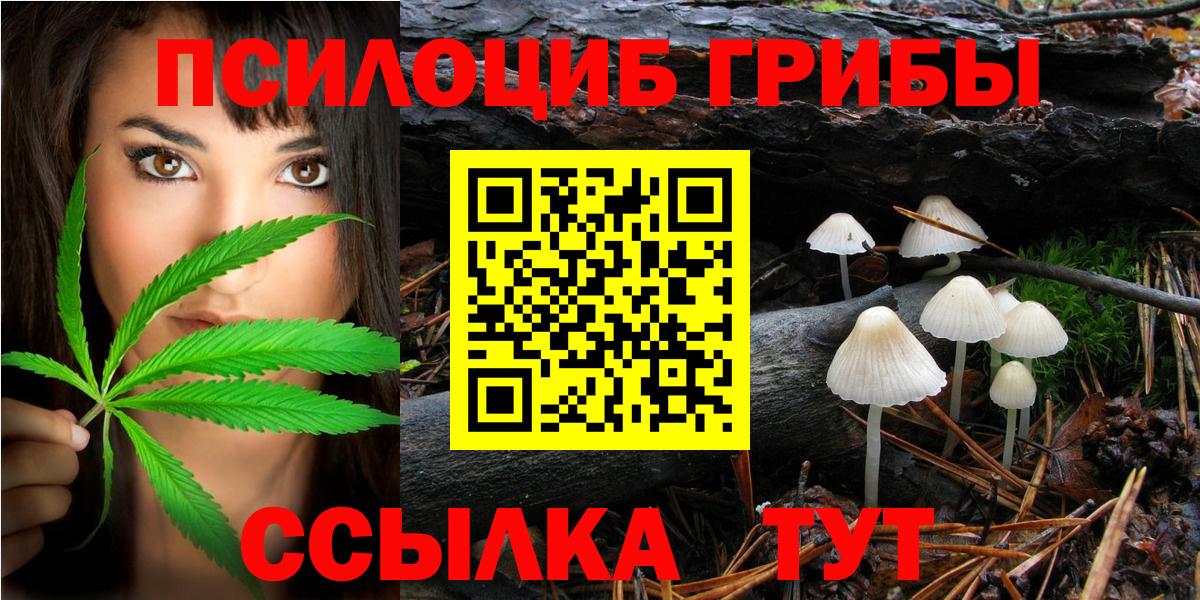 Галлюциногенные грибы Cubensis  Вход с VPN  Махачкала  Псилоцибиновые грибы Psilocybine cubensis 